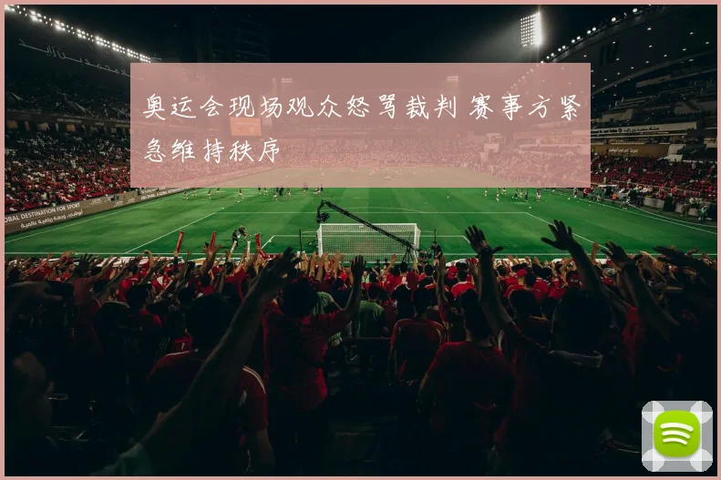 奥运会现场观众怒骂裁判 赛事方紧急维持秩序