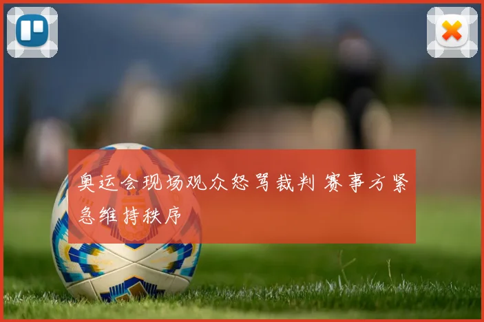 奥运会现场观众怒骂裁判 赛事方紧急维持秩序