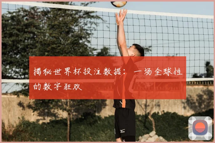 揭秘世界杯投注数据:一场全球性的数字狂欢
