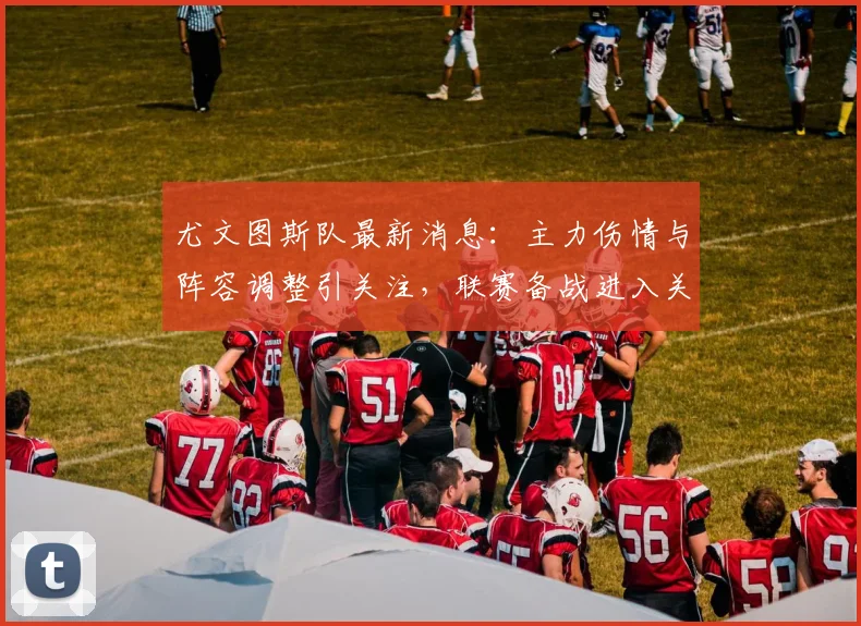 尤文图斯队最新消息：主力伤情与阵容调整引关注，联赛备战进入关键阶段