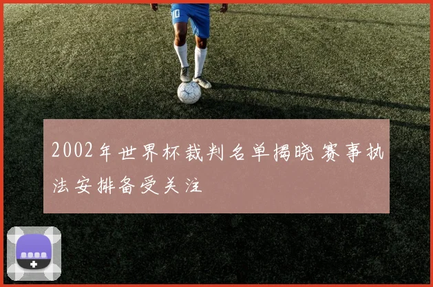 2002年世界杯裁判名单揭晓 赛事执法安排备受关注