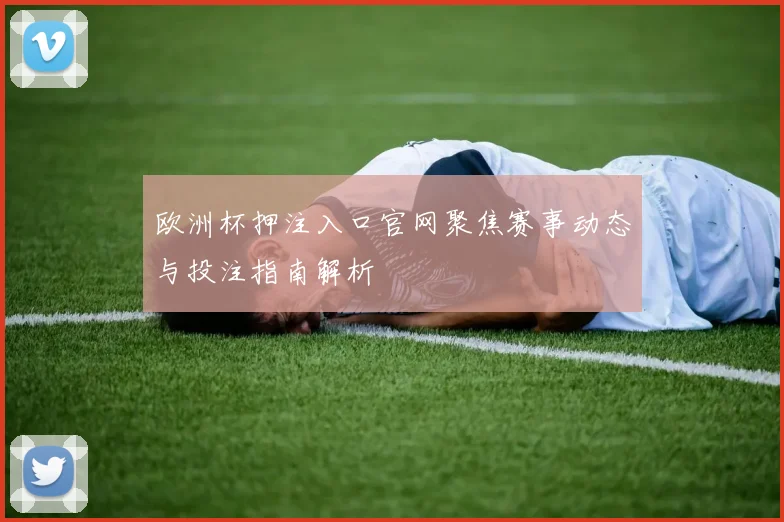 欧洲杯押注入口官网聚焦赛事动态与投注指南解析