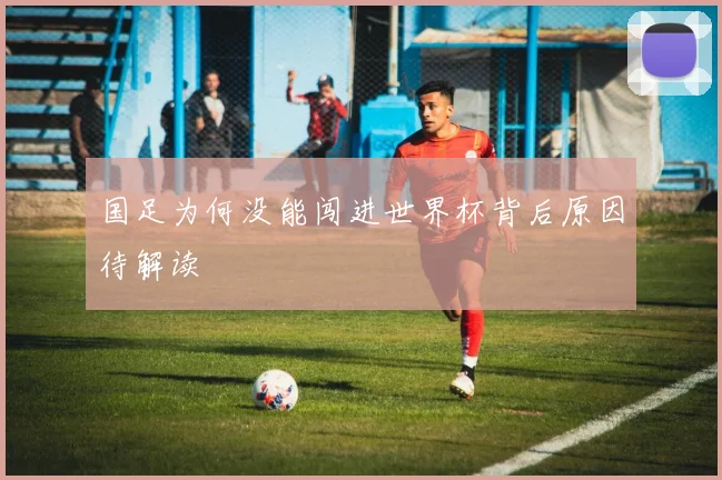 国足为何没能闯进世界杯背后原因待解读