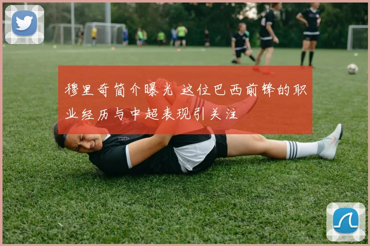穆里奇简介曝光 这位巴西前锋的职业经历与中超表现引关注