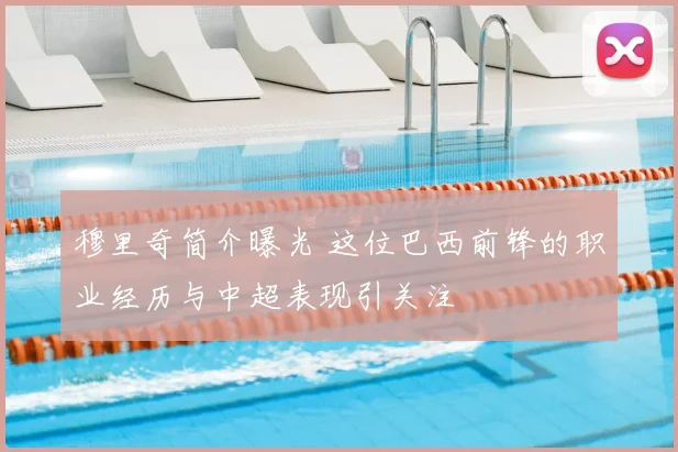 穆里奇简介曝光 这位巴西前锋的职业经历与中超表现引关注